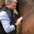 Trigger Point Therapy for Horses  - NAT Certification Course - 4 CE Hours