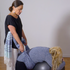 Prenatal Bodywork Certification Course - 4 CE Hours