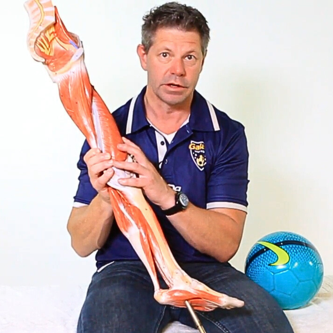 Soccer Specifics: Injuries and Treatment - 3 CE Hours