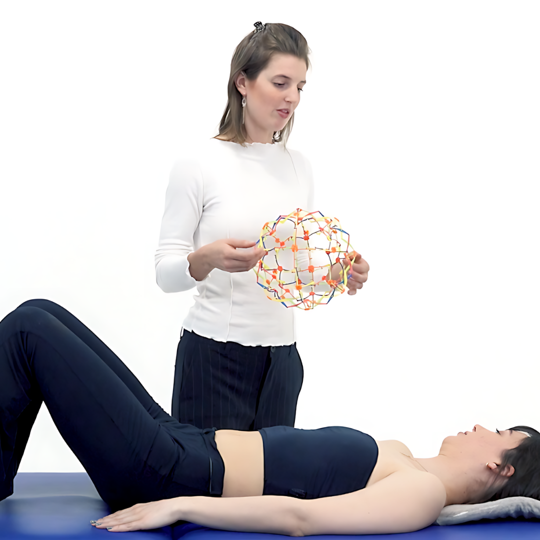 A Holistic View of the Pelvic Floor  - NAT Diploma Course - 6 CE Hours