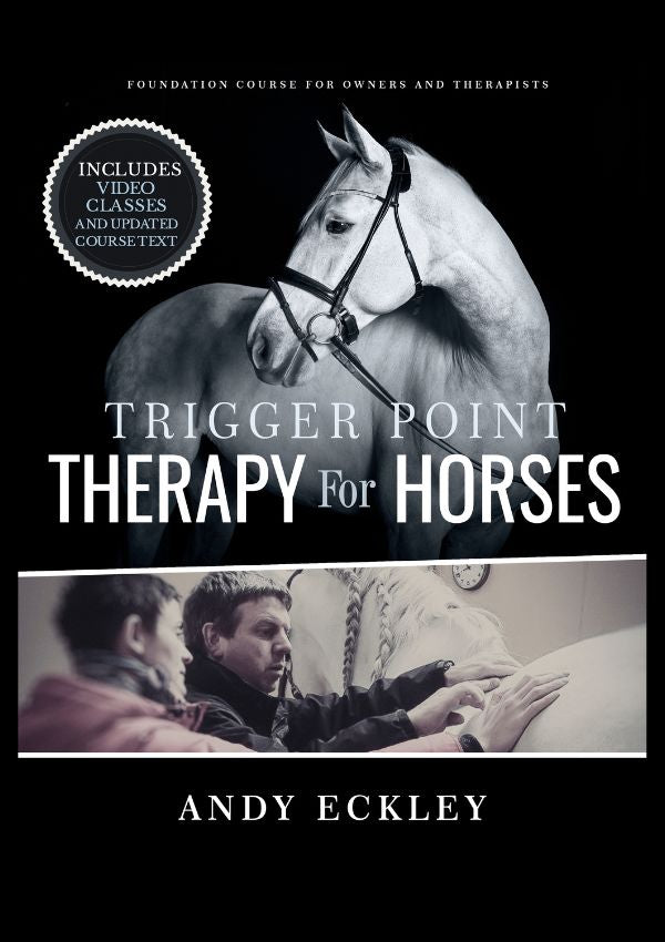 Trigger Point Therapy for Horses  - NAT Certification Course - 4 CE Hours