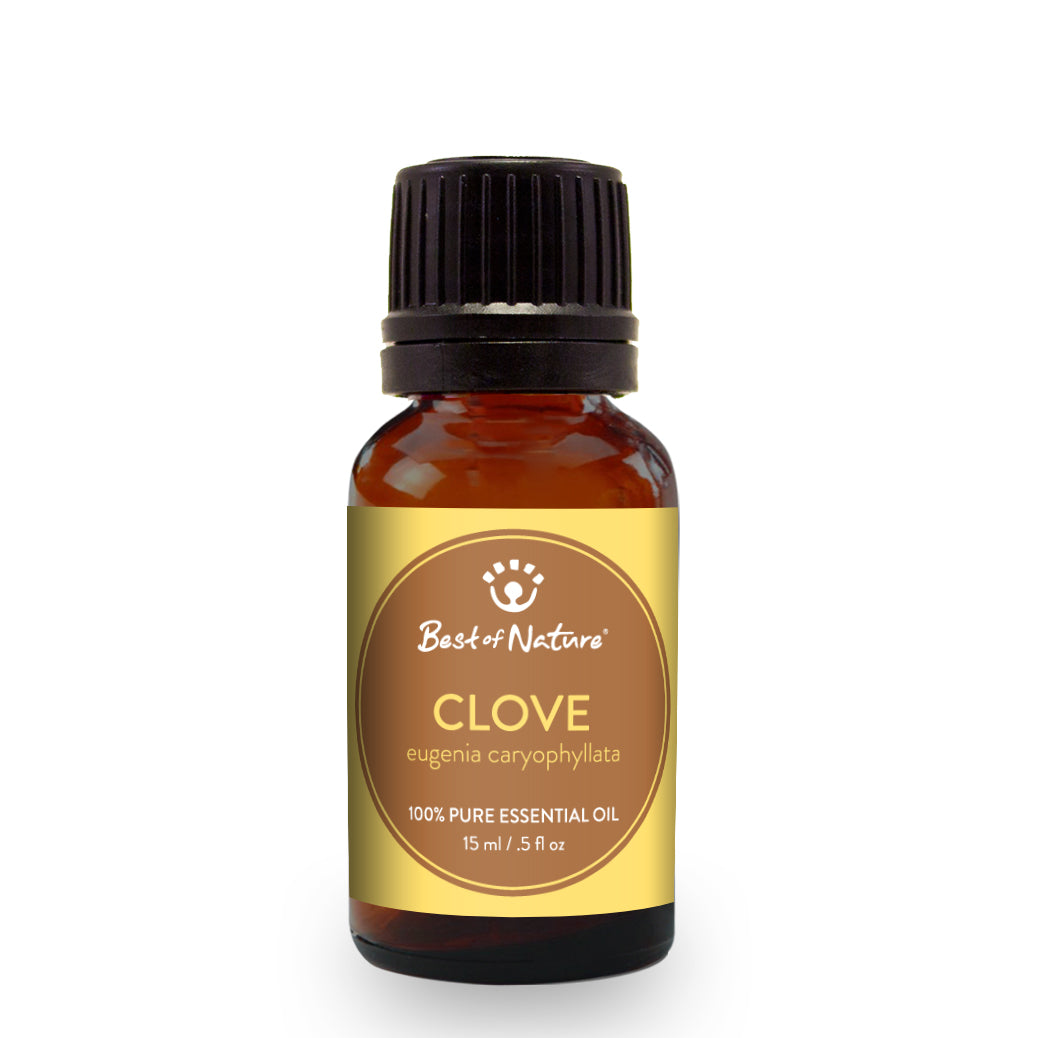 Best of Nature Clove Bud Essential Oil - 100% Pure