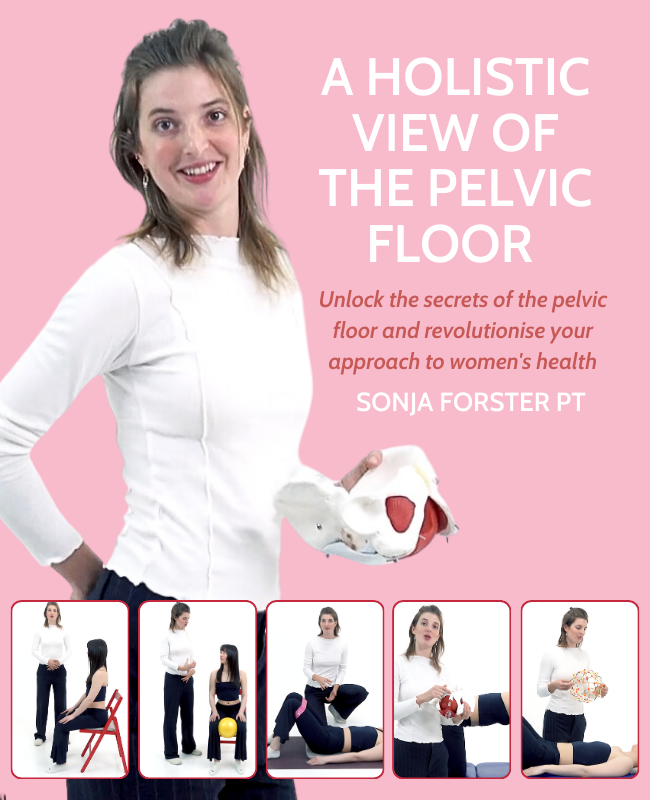 A Holistic View of the Pelvic Floor  - NAT Diploma Course - 6 CE Hours