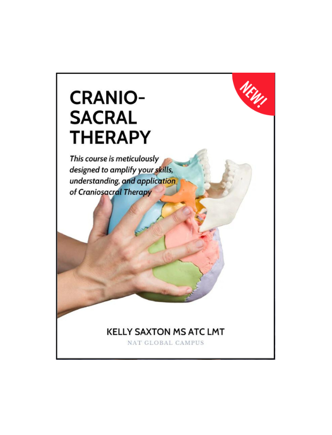 Integrative Cranio-Sacral Therapy - 5.5 CE Hours