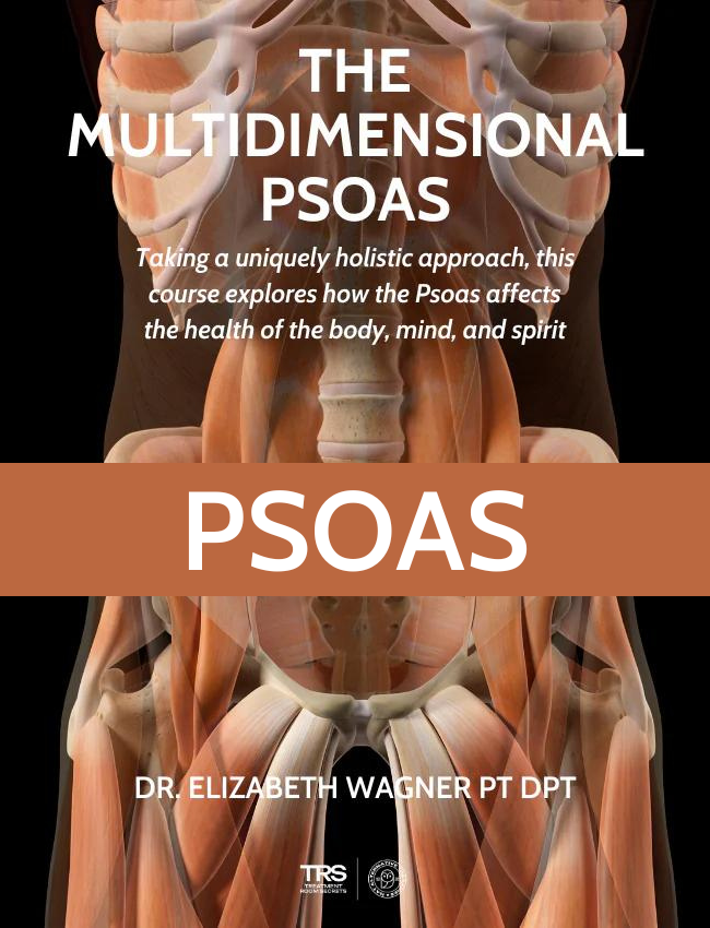 The Vital Psoas - 7 CE Hours