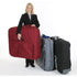 Pisces makes 2 styles of massage table carry cases.