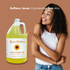 Sunflower Massage & Body Oil - 100% Pure