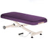 Ellora Vista Electric Lift Flat Top Massage Table - Earthlite