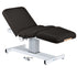 Everest Pedestal Electric Lift Salon Top Massage Table - Earthlite