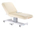 Everest Pedestal Electric Lift Tilt Top Massage Table - Earthlite