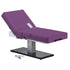 Everest Spa Pedestal Electric Lift Massage & Spa Table - Earthlite