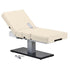 Everest Spa Pedestal Electric Lift Massage & Spa Table - Earthlite